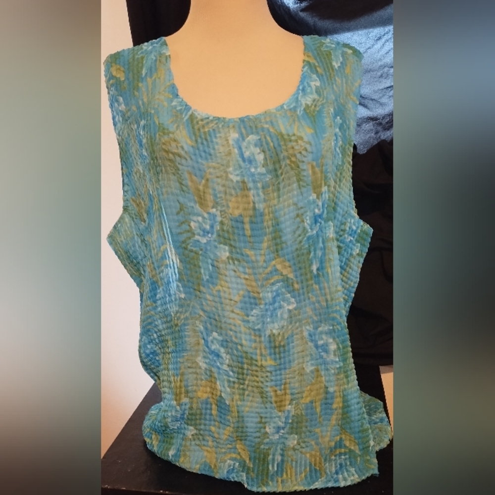 No label sheer top